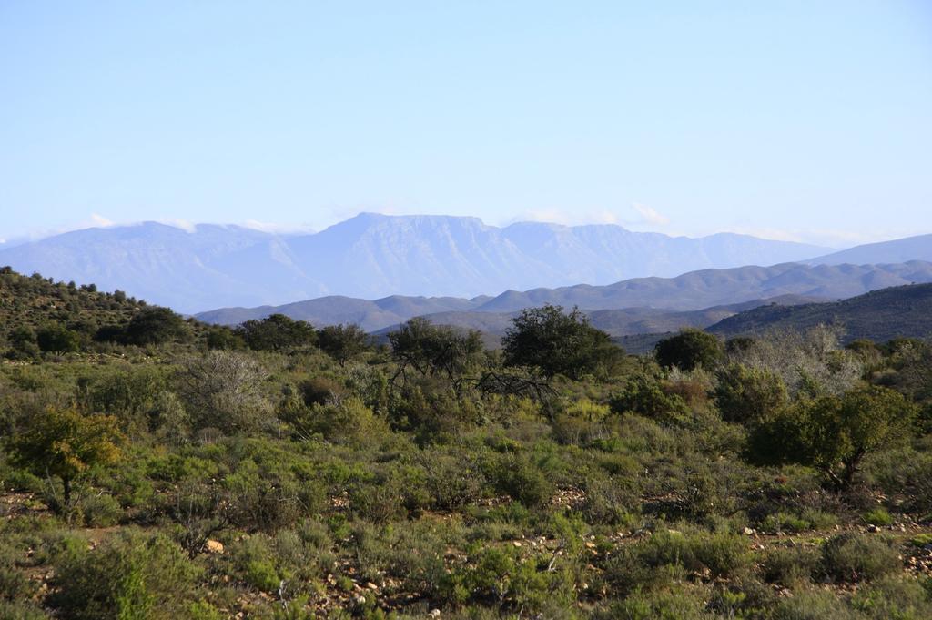Wolverfontein Karoo Cottages Ледисмит Экстерьер фото
