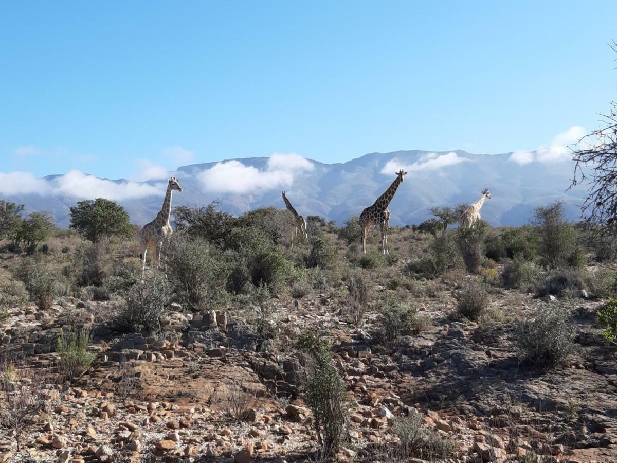 Wolverfontein Karoo Cottages Ледисмит Экстерьер фото